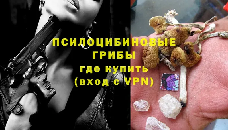 купить  цена  Балтийск  OMG tor  Галлюциногенные грибы MAGIC MUSHROOMS 